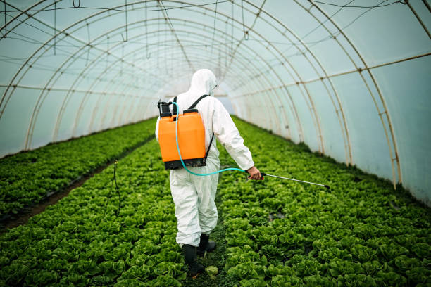 Best Pest Prevention Services  in Lannon, WI
