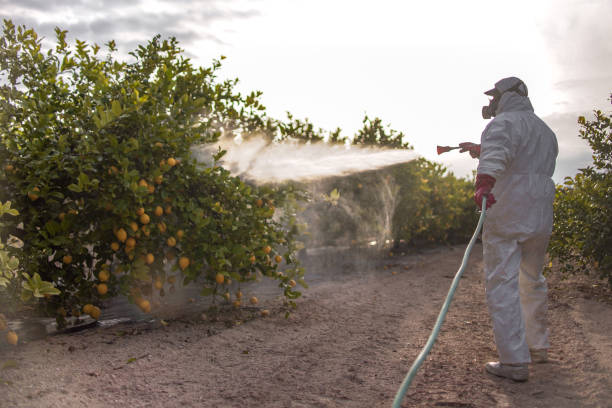 Best Pest Removal Services  in Lannon, WI