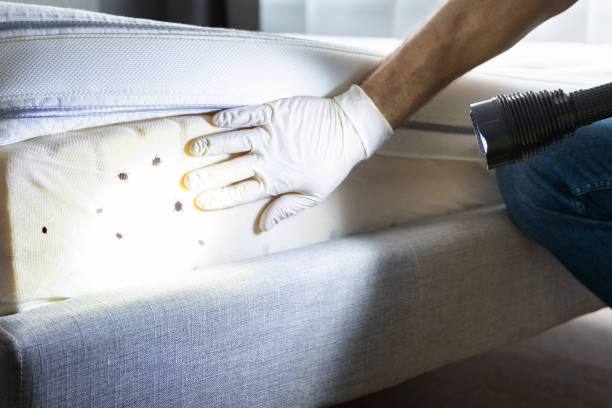 Trusted Lannon, WI Pest Control Experts