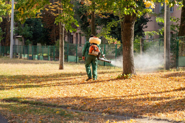 Best Emergency Pest Control  in Lannon, WI