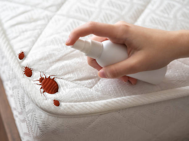 Best Affordable Pest Control Services  in Lannon, WI