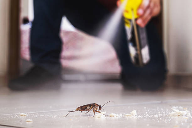 Best Wildlife Control Services  in Lannon, WI