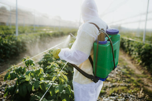 Best Residential Pest Control  in Lannon, WI
